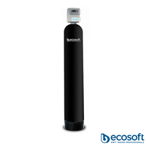 Фільтр для видалення хлору Ecosoft FPA 1252 CT